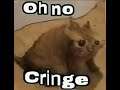 Oh no cringe cat