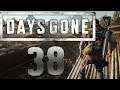 Lets Play Days Gone - Part 38 - Ein ernstes Gespräch mit Addy