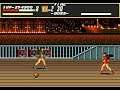 Bare Knuckle hack: play as Onihime test