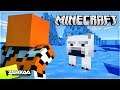 Finding POLAR BEARS In Minecraft For The First Time! (Minecraft #34)