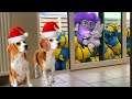 Funny Dogs vs Minion in REAL LIFE Animation Christmas Compilation! Must see! #1