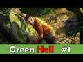 Green Hell [PC] [Deutsch] #1 | Willkommen in der grünen Hölle !!! ☠️ [German/Deutsch]
