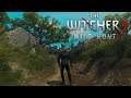 Let´s Play The Witcher 3: Wild Hunt #393 Die Gefängnisruine