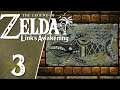 Zelda Link's Awakening Let's play FR (Switch) #3 - La vérité sur Cocolint
