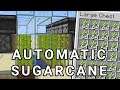 Minecraft AUTOMATIC Sugarcane Farm TUTORIAL