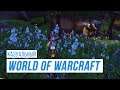 Казуальный World of Warcraft (Фарм Пчелы и Чат) (3 Ноября'19)