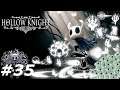 Der lange Weg zum entfernten Dorf - Hollow Knight #35