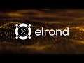 Elrond is better than Solana - 10B Marketcap this year.