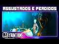 LABYRINTHINE COM AMIGOS P01