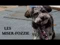 Les Miser-Fozzie: On My Own