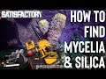 Satisfactory: How to Find Mycelia & Silica