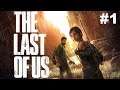 Vágjunk bele... | The Last of Us (PS4 PRO) #1 - 05.18.