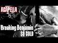 Breaking Benjamin - So Cold [Swatychopsuey Acapella]