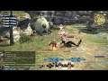 Final Fantasy XIV Online - " Brayflox's Longstop Normal Daily Level Dungeon "