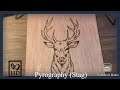 Pyrography Time Lapse - Stag Deer Buck DIY Wood Burning Project