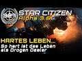 STAR CITIZEN 3.6 [Let's Play] #327 ⭐ Hartes Leben als Dealer! | Gameplay Deutsch/German