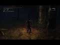 Bloodborne Chalice Dungeons - Lower Hintertomb Root Chalice w/Foetid