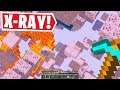 MINECRAFT But I USE X-RAY..