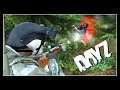 One Crazy Life. Nonstop NWAF and Vybor Action. (MONKEY GOES OFF!)