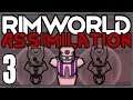 Rimworld: Assimilation #3 (Hardcore Merciless Wave Survival)