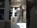 witch doctor - ooh Eeh ooh Ah Aah ting tang . dan's dance video .