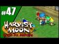 HARVEST MOON BACK TO NATURE - Parte 47: Duendes Trabalhadores