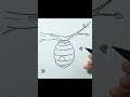 How to draw Beehive #shorts