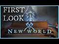 NEW WORLD: First Impressions of this new MMO from a WoW Veteran