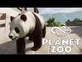 Panda Park! - Planet Zoo - Part 11