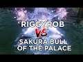 RiggyRob VS Sakura Bull of the Palace - Sekiro Boss Fight Twitch Highlight