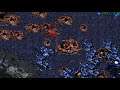 StarCraft 1: Secrets of the Confederation - Infested Installation