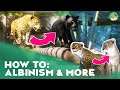 How to get Albinos in Planet Zoo - Planet Zoo Tutorial