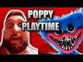 This Game was Short, Sweet, and Right to the point | POPPY PLAYTIME