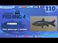 russian fishing 4 - #110 - TORNEO - Carpas - 🎁Sorteos ❓Dudas 🔥Hotspots ✔️FG army