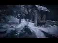 Shader1019's RE8 Attempt