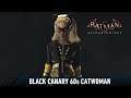 SKIN; Batman; Arkham Knight; Black Canary 60's Catwoman