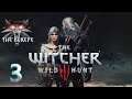 THE WITCHER 3:WILD HUNT/CAPITULO 3