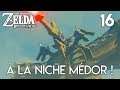 A LA NICHE MÉDOR - Zelda Breath Of The Wild | 16