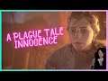 A PLAGUE TALE INNOCENCE partie 13 Gameplay FR #APlagueTaleInnocence