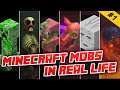Minecraft Mobs in Real Life #1 HD CURSED IMAGES & "Creepers Are Terrible Remix" Song