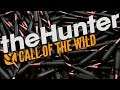 New Hint!! Time to Hunt in theHunter Call of the Wild 2019 Hint & Hunt!