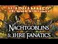 Nachtgoblins & ihre Fanatics | Warhammer Lore