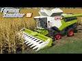 Żniwa kukurydziane Lexionem - Farming Simulator 19 | #104