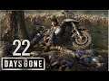 Days Gone (PS4) | En Español | Capítulo 22 "Le debo la vida" - HD - Sin Comentarios