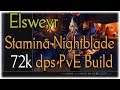 ESO - 72k DPS Stamina Nightblade (Elswyr)