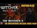The Witcher 3 Wild Hunt - The Whispering Hillock Boss Fight