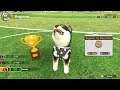 Train and Win a Flying Disc Frisbee Competition Little Friends Dogs and Cats