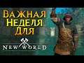 Последние новости New World MMORPG