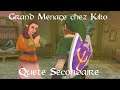The Legend of Zelda Skyward Sword - Guide Grand Ménage chez Kiko (Quête secondaire n°3)