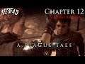 All That Remains | Chapter 12 | A Plague Tale: Innocence | Playthrough Gameplay